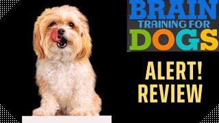 ️Brain Training for Dogs Review! By Adrienne Farricelli️