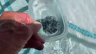 How to get Frog eggs out of my pool!