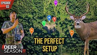 Killer Food Plots, Mark's BEST Tips To Construct The Perfect Plan | Deer Season 22