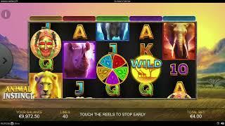 Animal Instinct Slot by Playtech  Gameplay & Wins NSG Team