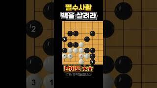 필수사활 - 백을 살려보세요.