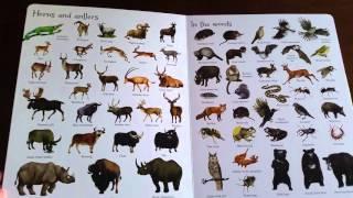 1000 Animals: Usborne Books and More