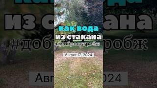 Как вода из стакана #доброеутро #gmbzh доброе утро от Бж - август 17 2024 #утреннийкофе #фокусбж #gm