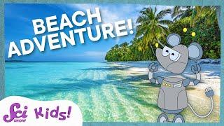 Using Our Senses to Explore the Beach! | Science at the Beach! | SciShow Kids