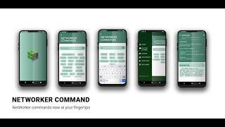 App Intro - NetWorker Commands