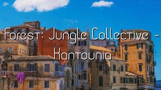 Forest: Jungle Collective - Kantounia