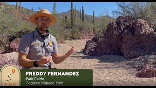 Ranger Talks - Saguaro National Park, Stick to Trails