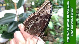 Путевые Заметки, ОАЭ,февраль 2019: прогулка по Саду Бабочек в Дубаи - Dubai Butterfly Garden