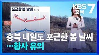 [날씨] 충북 내일도 포근한 봄 날씨…황사 유의 / KBS  2025.03.11.