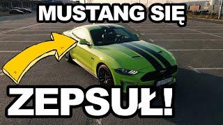 MUSTANG IDZIE DO NAPRAWY NA GWARANCJI! *GT V8 FORD GDAŃSK*