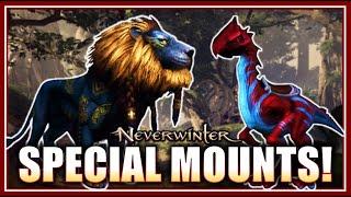 How to Obtain these 2 Special Mounts! - Jungles of Chult: Eku & Makos Favor! - Neverwinter