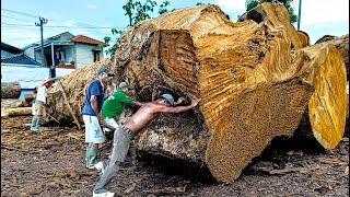 The longest teak wood from the California forest !! sawn material for Hollywood artist house boards