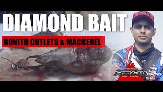 Diamond Bait Bonito Cutlets and Mackerel - Baits