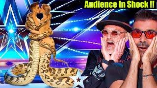 Mind-Blowing Moments: The Magic Act That Stunned America's Got Talent Ai 2025!