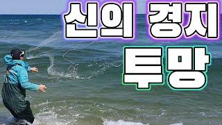 동해바다 투망 초고수! 전어회무침 전어구이 먹어보자./To catch fish by cast a net