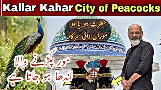 Moran wali sarkar hazrat hu bahu kallar kahar/iftikhar iffi/یہاں کے مور پکڑنے والا اندھا ہو جاتا ہے