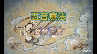 中醫五音疗法ㄧㄧ潤肺【商音合辑】l五音入五臟属金潤肺化郁【五行五音五志系列】每天半小時治療亞健康l曲子的频率能按摩相應器官,達至其他煅炼所不能達之位置