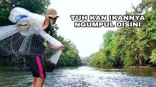 JALA IKAN, TERNYATA IKANNYA NGUMPUL DI JIRAM