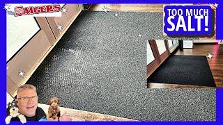 Minnesota Salt Transfer to Carpet is TERRIBLE! Can We Clean and Fix this One?
