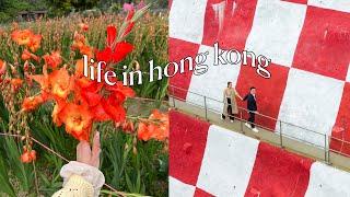 Daily Life in HK | checkerboard hill, v-day picnic, flower farm in yuen long, new tableware