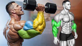 ARM DAY: Biceps, Triceps, and Forearms (Effective Workout)