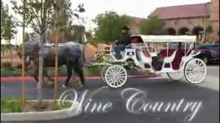 temecula wine country carriage company  a love story begins