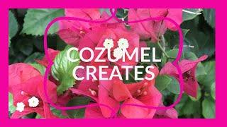 COZUMEL CREATES SERIES - PART IV: Co-creating with the Divine through the Sacred Tobacco Pipe