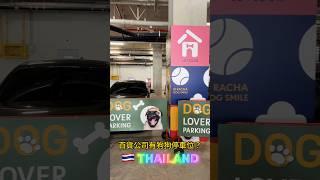 【2023/Sep29】Thailand  Central SiRacha /  Dog lover dog parking #thailand #shorts #joecoolfun