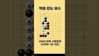 백을 잡는 묘수 중급사활 #바둑 #사활