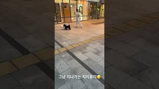 누구세요?#shorts