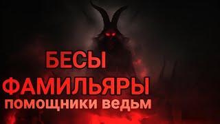 Фамильяры Помощники Ведьм. Как выбрать фамильяра.