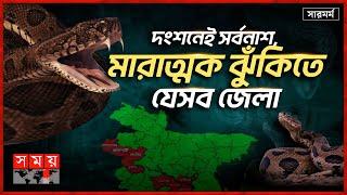 ভারত থেকে বাংলাদেশে ঢুকছে বিষধর রাসেল ভাইপার! | সারমর্ম | Russell Viper | Bangladesh | Antivenom