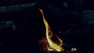 The Chasers TRAILER