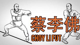 Choy Li Fut Combat Applications