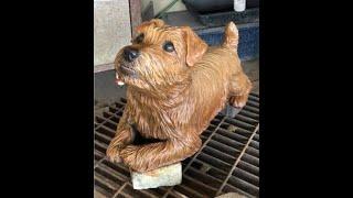 Norfolk Terrier “Detour” bronze by Sondra Alexander Art