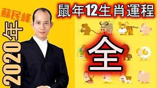 蘇民峰2020年鼠年12生肖運程高清完整版 2020年生肖运程