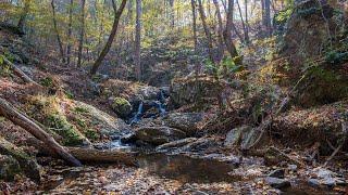 Northern Loop Trail