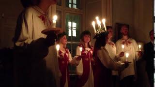 Lucia 2013 at Embassy of Sweden in Copenhagen