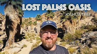 Lost Palms Oasis Hike, Joshua Tree National Park