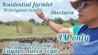 lot#321 Residential farmlot w/irrigated riceland 3has 400 mtrs frontge 4M only.cuyapo nueva ecija