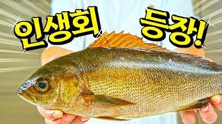 돌돔보다 더 맛있는 인생회를 가져왔습니다. 올여름 꼭 드세요!