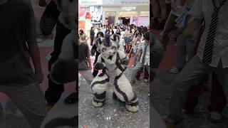 【Fursuit Dance】 银碳Gintan - LEE CHAE YEON 'KNOCK'