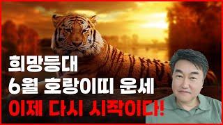 희망등대 6월 호랑이띠 운세 새로운 사냥터가 생겼다.. 이제 다시 시작이다  사주상담  010.5571.9666 / 오늘의 운세 사주팔자 금전운 궁합 애정운
