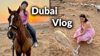 Exploring Dubai: City Life, Desert Adventures & Iconic Landmarks!