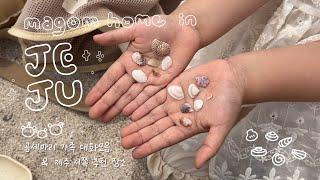마곰홈 대화모음 ɪɴ ᴊᴇᴊᴜ & 제주 서쪽 추천 여행지