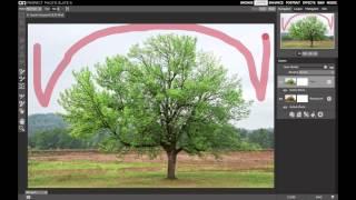 Perfect Inspiration: Growing Your Craft With Scott Davenport