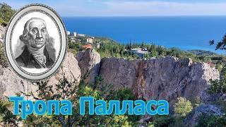 Новый маршрут в Ялтинском заповеднике Тропа Палласа #крым #crimea #горы #ялта