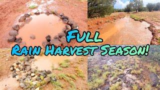 Permaculture Rainwater Harvesting Compilation 2024