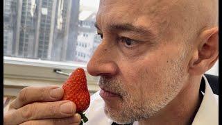 ATTACK OF THE KILLER STRAWBERRIES from Joseph Vicaire - Part II