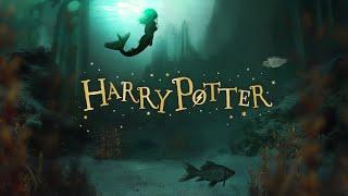 Merpeople in the Black Lake [ASMR] Harry potter & the Goblet of Fire inspired AmbienceWater Sounds
